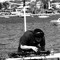 GROUSE.FM