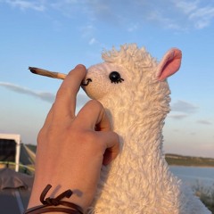 longfellowdiez