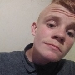 steven agnew