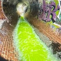 > SALVIASAGE <