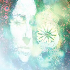 Michelle LaRiviere • • • Multi meDia arTist