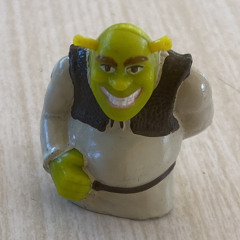 rhinocéros biscornue