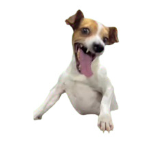 042 음악대장 diegoyoo