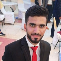 ahmed Elmeshtawy