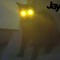 Jayemdy