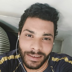 mostafa gohary