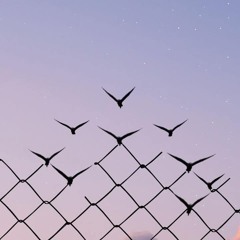 هند مصطفى