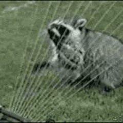 VFGG