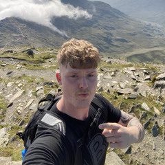 tom m8