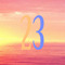 DJM23