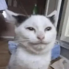 lee
