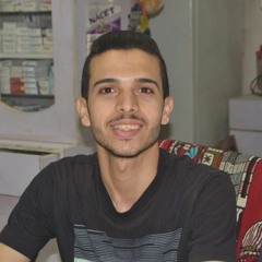 Abdelhady Amir Ahmed