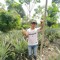Bang Jim