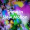 Snow in Slow Motion