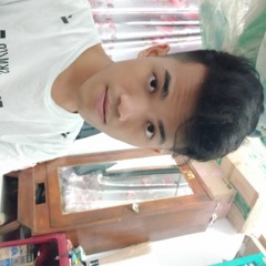 diden