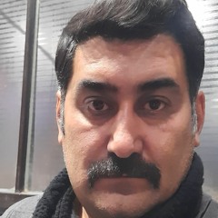 مرتضی فاطمی Fatemi