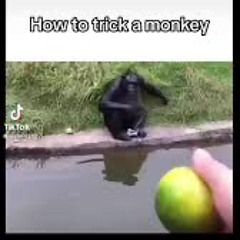 georganinneapolsanfransokyojapafrihinamericasianed