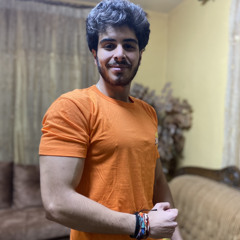 Mohammad Alkeswani