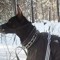 hacked by Олеся КОнченова