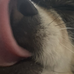 박지원