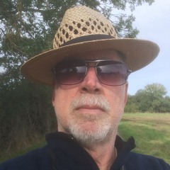Dave Schweizer