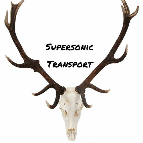 Supersonic Transport’s avatar