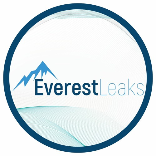 everestleaks’s avatar