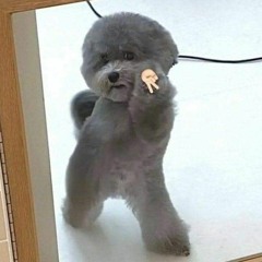babisocute