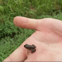 yuma kajitani／梶谷優真 25'