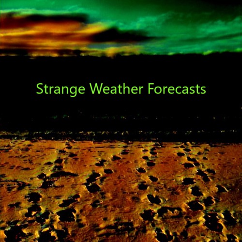 Strange Weather Forecasts’s avatar