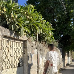 AMR ABU SALAH