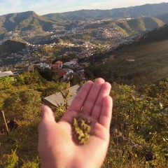 Soasbolada