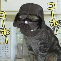 猫ライダー