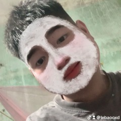 Le Baoo