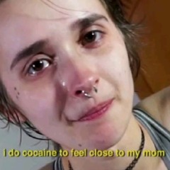 chiendelacassepourrie