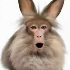 zxcsosiska
