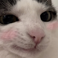 hwa.thichangxoai🥭