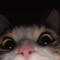 WhyFeverr