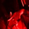 noid4l (@noid4ll)