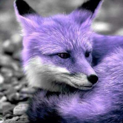 saber wolf