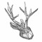 the jackalope