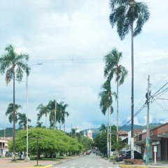 Andres Santiago Bonilla