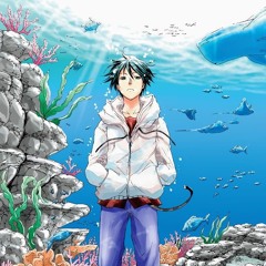 Hikari