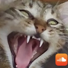 perficltly cut scream