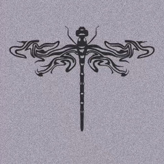 .rvthq