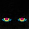 two eyes