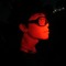 Berson_Crow