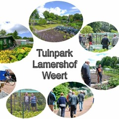 Lamershof495