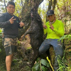 DirtyD