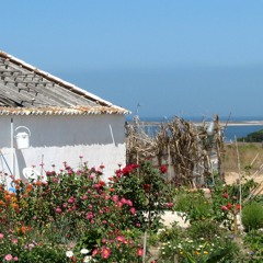 Francisco